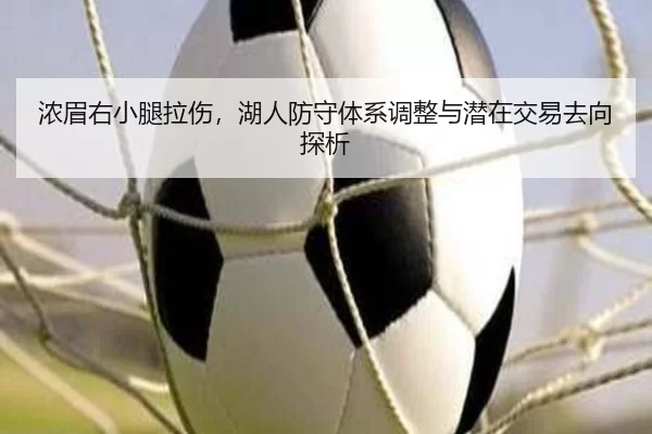 浓眉右小腿拉伤，湖人防守体系调整与潜在交易去向探析